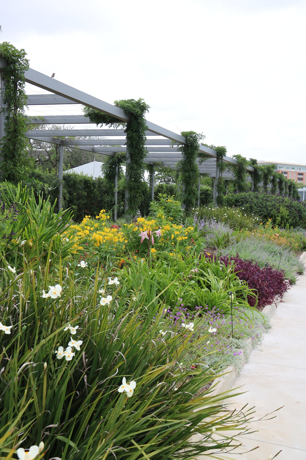 Tworzenie harmonijnej przestrzeni zielonej w otoczeniu zabudowy